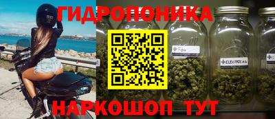 apvp Партизанск