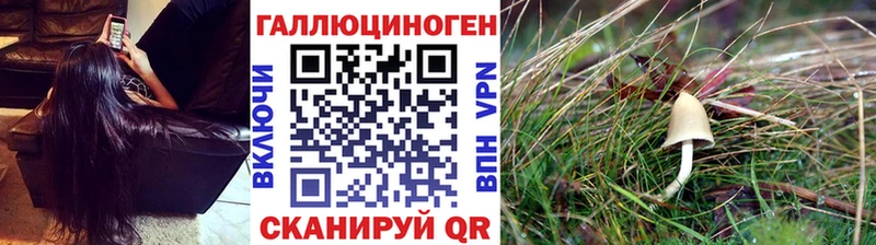 Псилоцибиновые грибы прущие грибы  как найти   Чайковский 