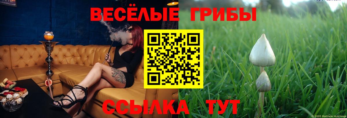 Галлюциногенные грибы мухоморы  Вход с VPN  Чайковский 