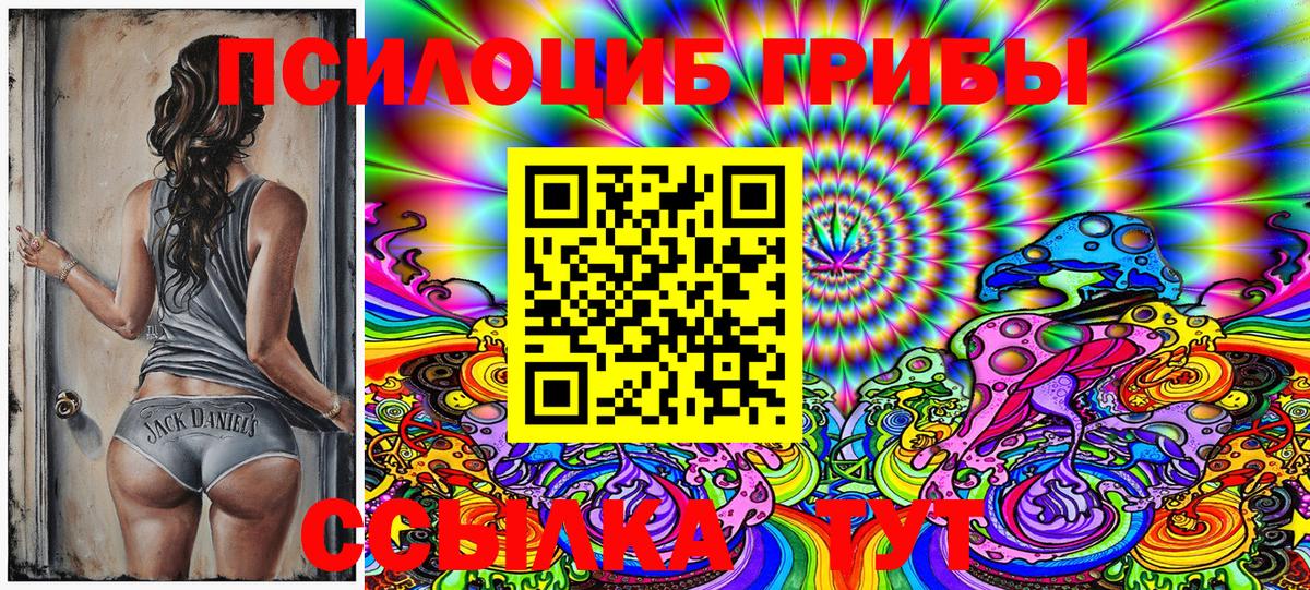 Псилоцибиновые грибы Cubensis Чайковский